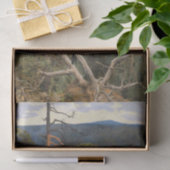 ガレン・カレーラ素晴らし – ブラックウッドペッカー1894 薄葉紙 (ギフト)