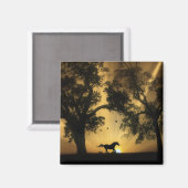 ガロすごいンかわいらしピング自由馬磁石 マグネット (正面/裏面)