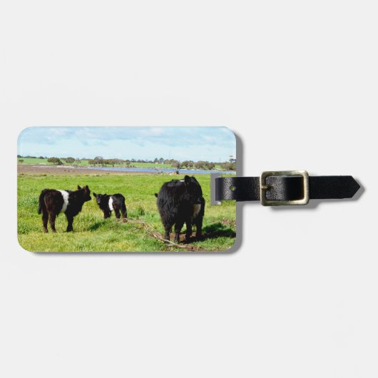 ガロウェイ牛の家族 ラゲッジタグ (正面横)