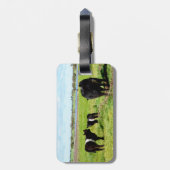 ガロウェイ牛の家族 ラゲッジタグ (裏面縦)