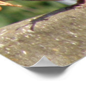 ガロールと貪欲なスズメのプリント ポスター (角)