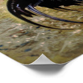 ガロ/ガロ/ルースター ポスター (角)