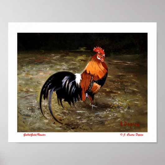 ガロ ポスター (正面)