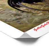 ガロ ポスター (角)