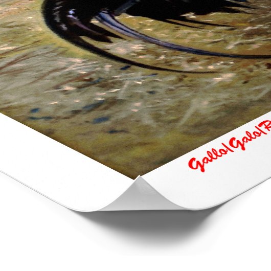 ガロ ポスター (角)