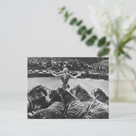 ガンサージェベル・ウィリアムズ1969 ポストカード (スタンド正面)