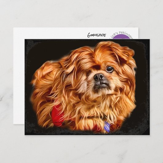 ガンシューズ！日常のカードのための外来アート アドバイスカード (正面/裏面)