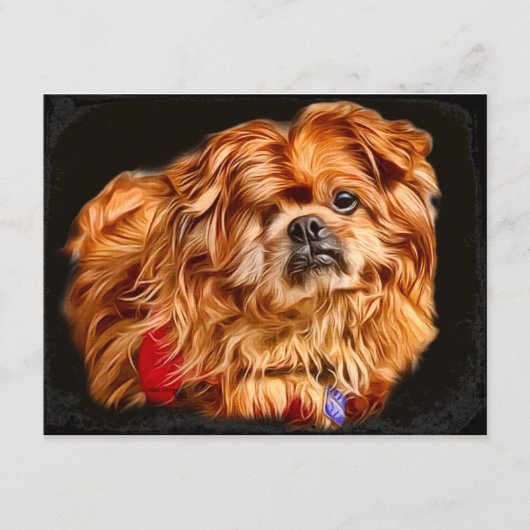 ガンシューズ！日常のカードのための外来アート アドバイスカード (正面)