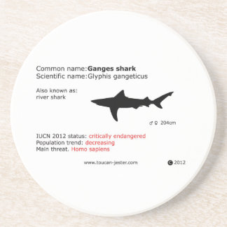 ガンジスサメのコースター コースター