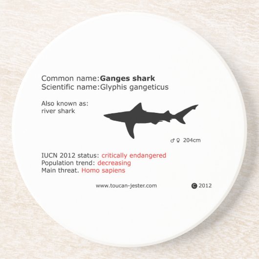 ガンジスサメのコースター コースター (正面)