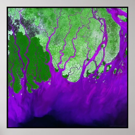 ガンジスデルタベイオブベンガル ポスター (正面)