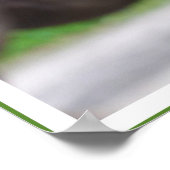 ガンジー引用文、動物を大切にする ポスター (角)