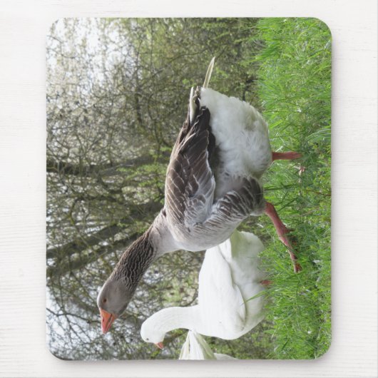 ガンスオーフイーナーワイエゼ マウスパッド (正面)