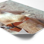 ガンスリンガーリスのポスター ポスター (角)