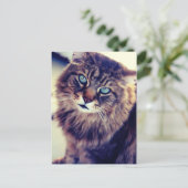 ガンダルフ ポストカード (スタンド正面)