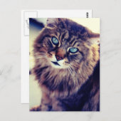 ガンダルフ ポストカード (正面/裏面)