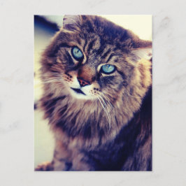 ガンダルフ ポストカード