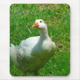 ガンダー マウスパッド