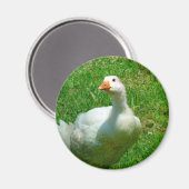 ガンダー マグネット (正面/裏面)