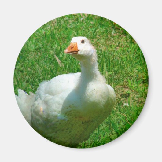 ガンダー マグネット (正面)