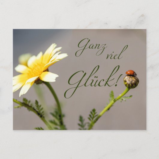 ガンツヴィエルグリュック – mitマリエンカファー! ポストカード (正面)
