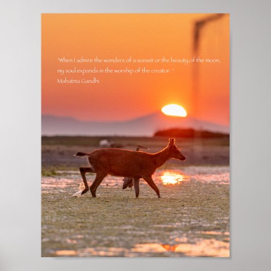 ガンディサンセット引用文 ポスター (正面)