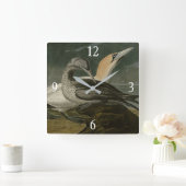 ガンネット（北ガンネット）アウドゥボン鳥 スクエア壁時計 (ホーム)