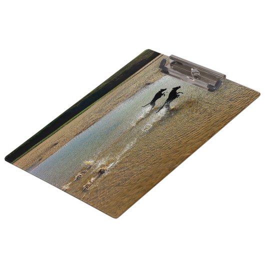 ガンネル川に突進するロケット犬 クリップボード (アングル)