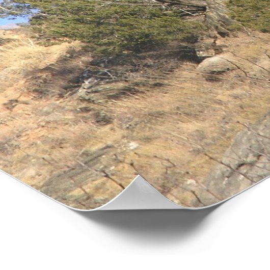 ガンハンマー岩 ポスター (角)