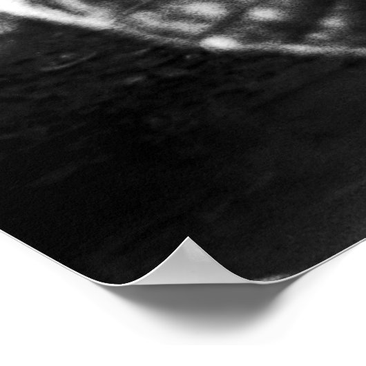 ガンビアのワニ ポスター (角)