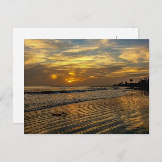 ガンビアの夕焼けポストカード ポストカード (正面/裏面)