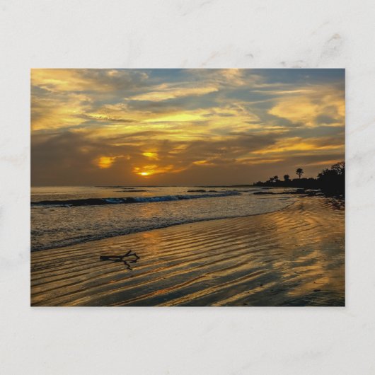 ガンビアの夕焼けポストカード ポストカード (正面)