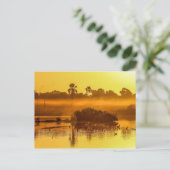 ガンビアサンライズハガキ ポストカード (スタンド正面)