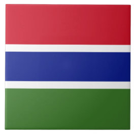 ガンビア国旗 タイル