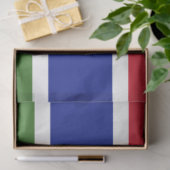 ガンビア国旗 薄葉紙 (ギフト)