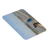 ガンビア・タンジ マグネット (右側)