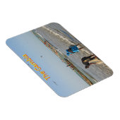 ガンビア マグネット (右側)