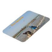 ガンビア マグネット (左側)