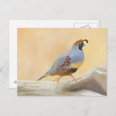 ガンブレルズウズル絵画ズオリジナルバードアート ポストカード (正面/裏面)