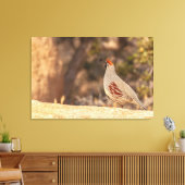 ガンベルズクワイル キャンバスプリント (インサイチュ (リビング))