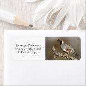 ガンベルズクワイル ラベル (インサイチュ)