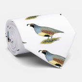 ガンベルズデザートウイル ネクタイ (ロール)