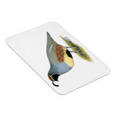 ガンベルズデザートウイル マグネット (右側)