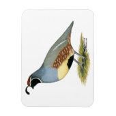 ガンベルズデザートウイル マグネット (縦)