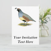 ガンベルズデザートウイル 招待状 (スタンド正面)