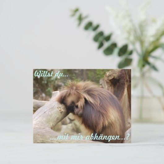 ガンメラフ ポストカード (スタンド正面)