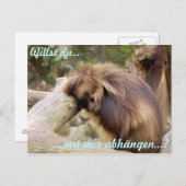 ガンメラフ ポストカード (正面/裏面)