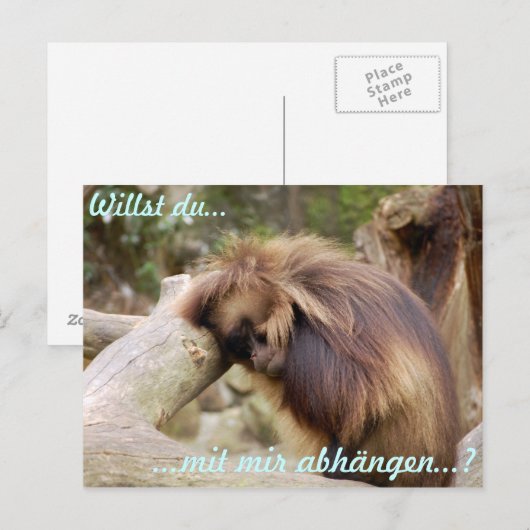 ガンメラフ ポストカード (正面/裏面)