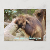 ガンメラフ ポストカード (正面)