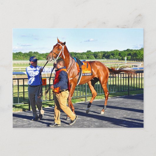 ガンランナー ポストカード (正面)